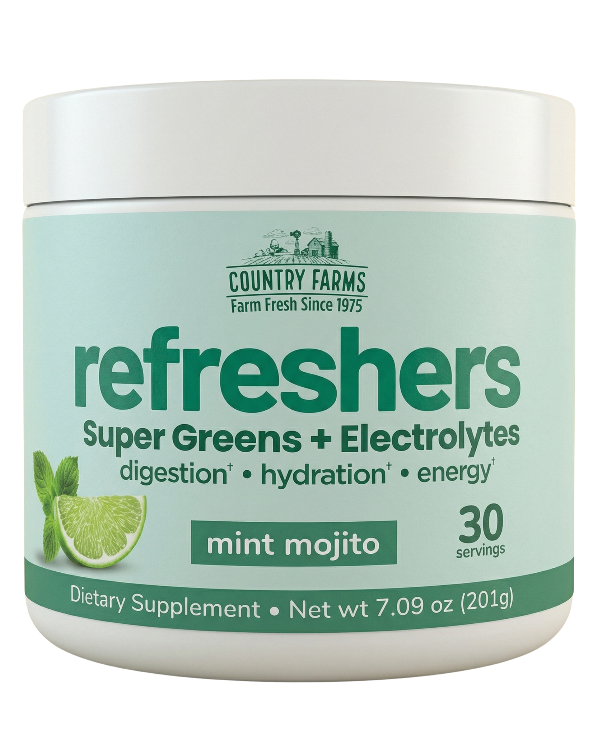 Refresher Drink Mix Mint Mojito Flavor Hydration Support